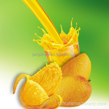 Awtomatikong de -boteng orange mango juice filling machine